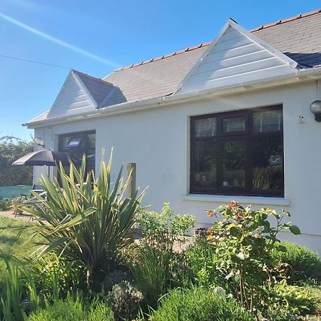 Y Cuddfan Gower Bed & Breakfast Swansea Exterior photo