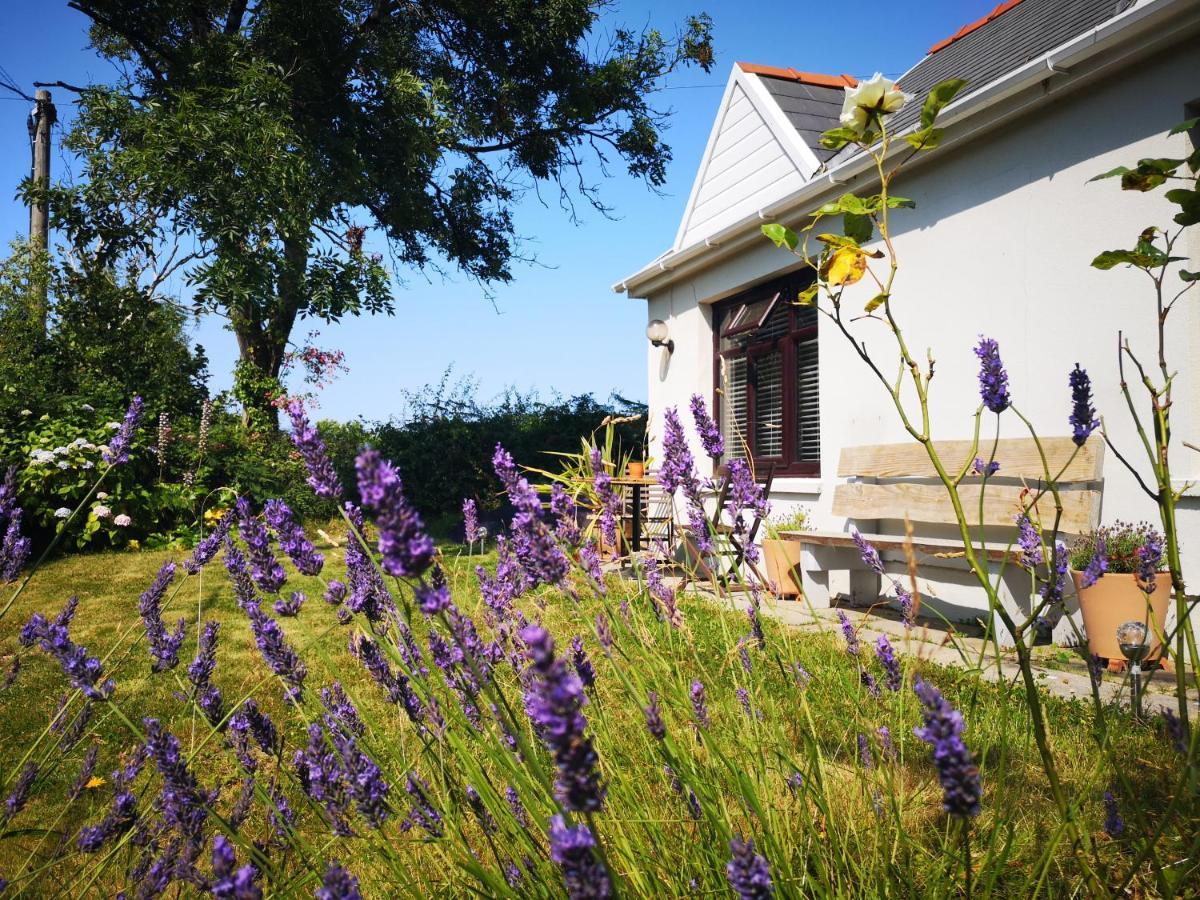 Y Cuddfan Gower Bed & Breakfast Swansea Exterior photo